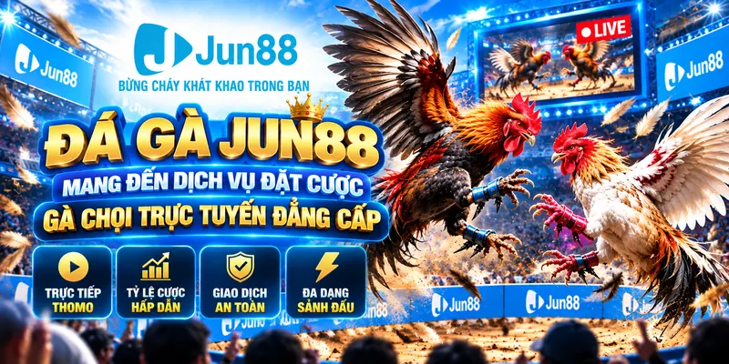 Đá gà Jun88 mang đến dịch vụ đặt cược gà chọi trực tuyến đẳng cấp